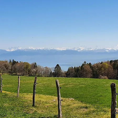 Appartement Résidence Entre Monts Et Nyon