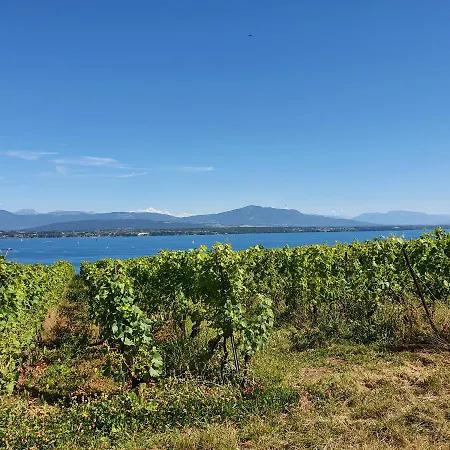 Entre Monts Et Apartment