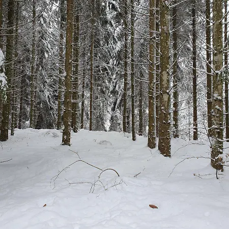 Entre Monts Et 公寓