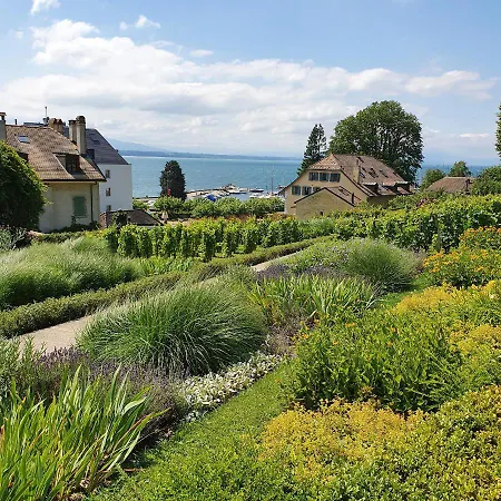 Entre Monts Et Court Et Moyen * Nyon