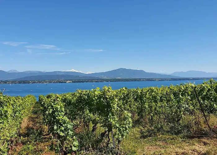 Entre Monts Et Lejlighed