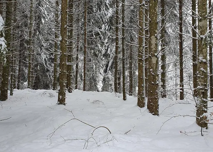 Entre Monts Et Lejlighed