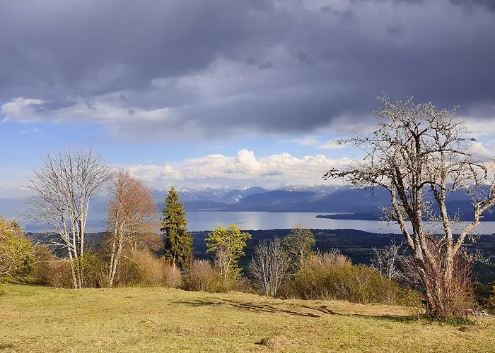 Entre Monts Et Nyon